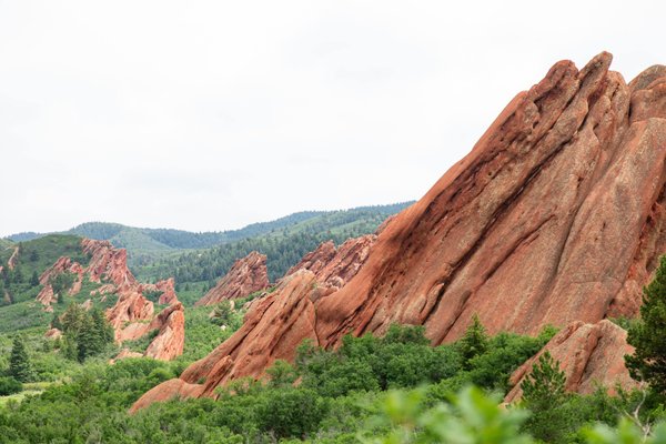 les formations les plus adaptées pour renforcer ses compétences en gestion de l'expérience client